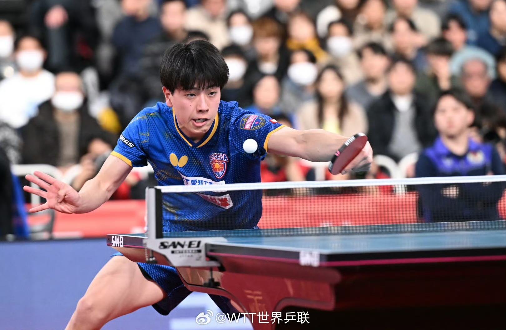 aoa体育体育登录-日本运动员实力擒获金牌，受瞩目(日本运动员实力擒获金牌,受瞩目的是谁)